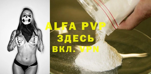твердый Вяземский