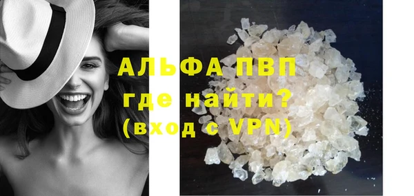 твердый Вяземский