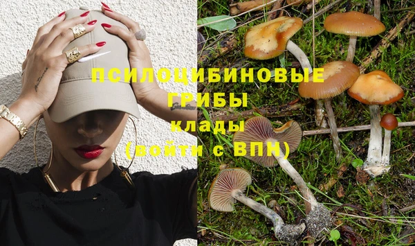 твердый Вяземский