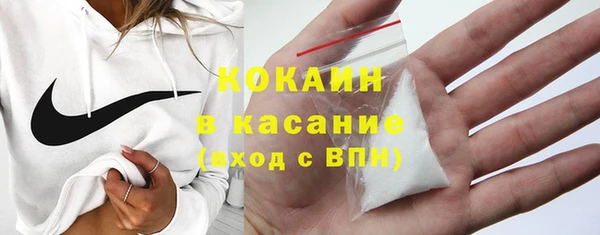 твердый Вяземский