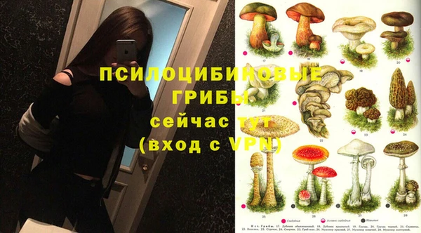 твердый Вяземский