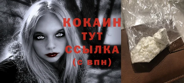 твердый Вяземский