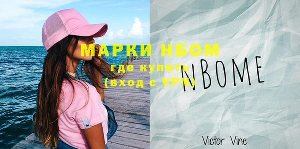 твердый Вяземский