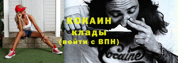 твердый Вяземский