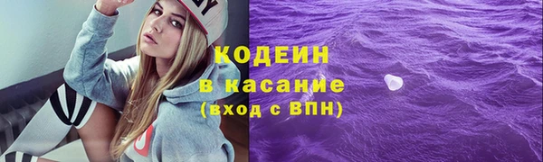 твердый Вяземский