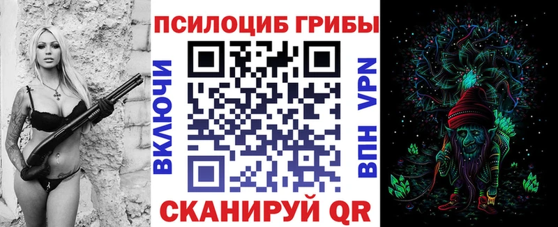 где купить наркоту  блэк спрут рабочий сайт  Галлюциногенные грибы Psilocybe  Подольск 